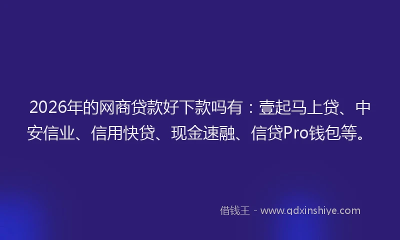 2026年的网商贷款好下款吗有：壹起马上贷、中安信业、信用快贷、现金速融、信贷Pro钱包等。