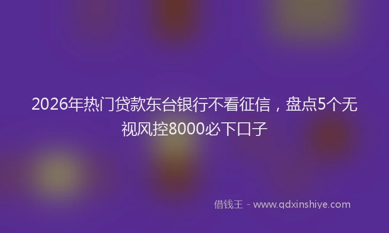 2026年热门贷款东台银行不看征信，盘点5个无视风控8000必下口子