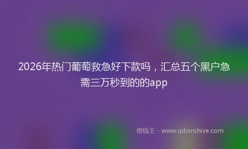 2026年热门葡萄救急好下款吗，汇总五个黑户急需三万秒到的的app