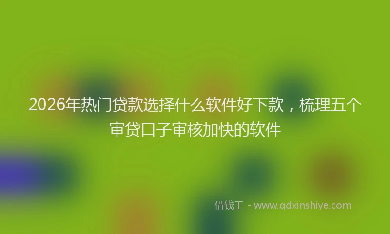 2026年热门贷款选择什么软件好下款，梳理五个审贷口子审核加快的软件