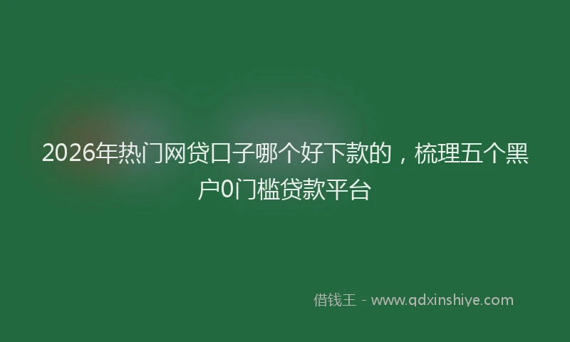 2026年热门网贷口子哪个好下款的，梳理五个黑户0门槛贷款平台