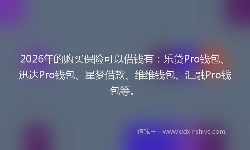 2026年的购买保险可以借钱有:乐贷Pro钱包、迅达Pro钱包、星梦借款、维维钱包、汇融Pro钱包等。