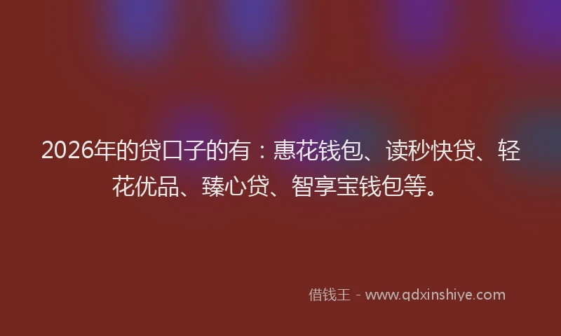 2026年的贷口子的有：惠花钱包、读秒快贷、轻花优品、臻心贷、智享宝钱包等。