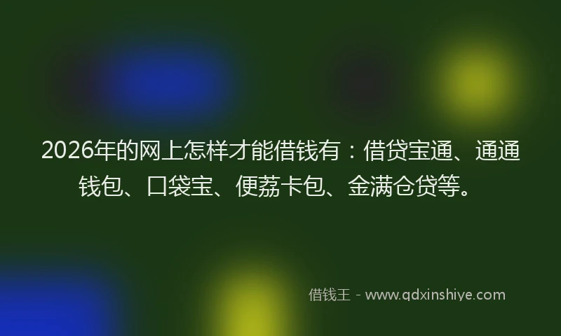 2026年的网上怎样才能借钱有:借贷宝通、通通钱包、口袋宝、便荔卡包、金满仓贷等。