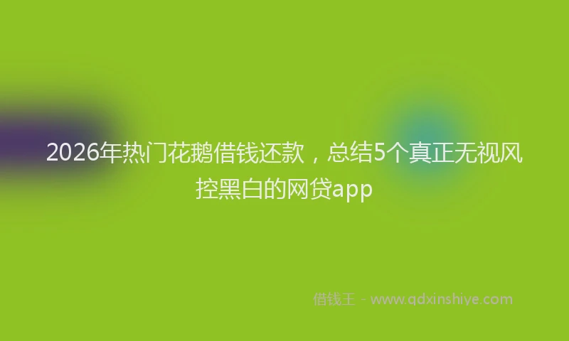 2026年热门花鹅借钱还款，总结5个真正无视风控黑白的网贷app