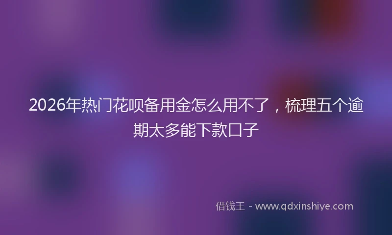2026年热门花呗备用金怎么用不了，梳理五个逾期太多能下款口子