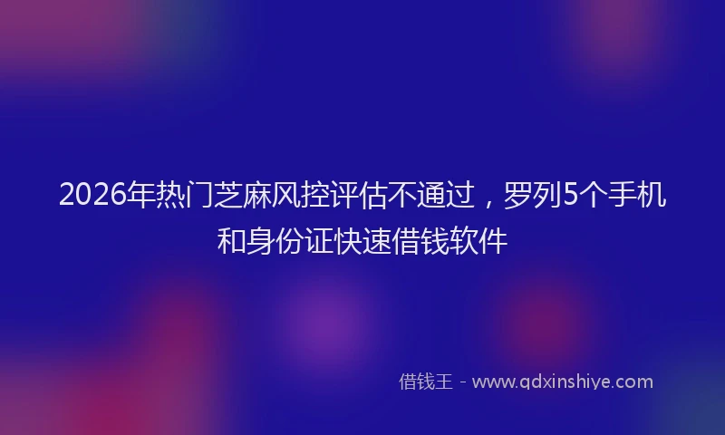 2026年热门芝麻风控评估不通过，罗列5个手机和身份证快速借钱软件