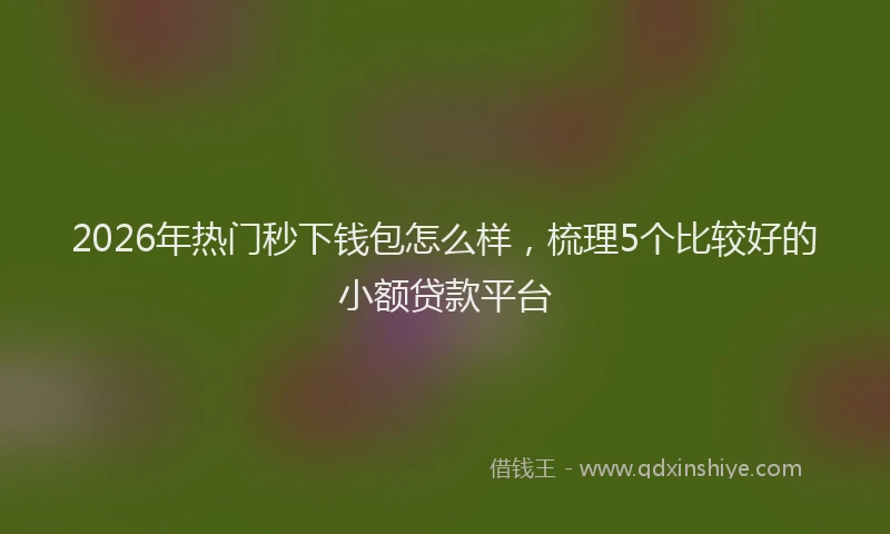 2026年热门秒下钱包怎么样，梳理5个比较好的小额贷款平台