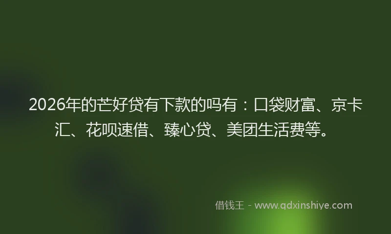 2026年的芒好贷有下款的吗有：口袋财富、京卡汇、花呗速借、臻心贷、美团生活费等。