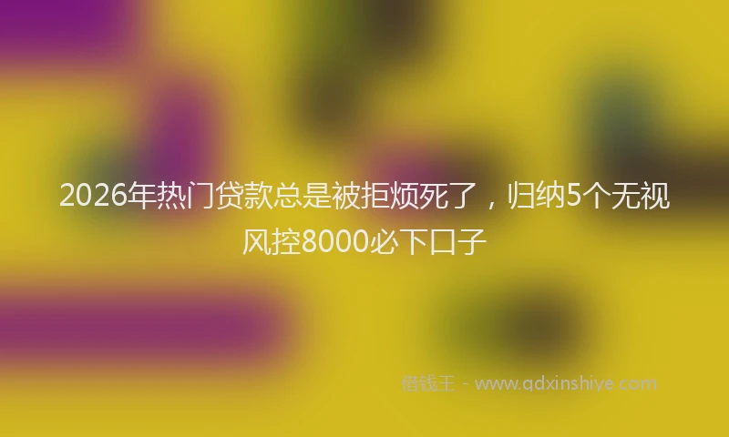2026年热门贷款总是被拒烦死了，归纳5个无视风控8000必下口子