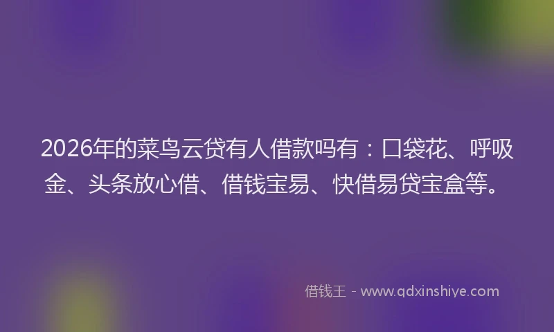 2026年的菜鸟云贷有人借款吗有：口袋花、呼吸金、头条放心借、借钱宝易、快借易贷宝盒等。