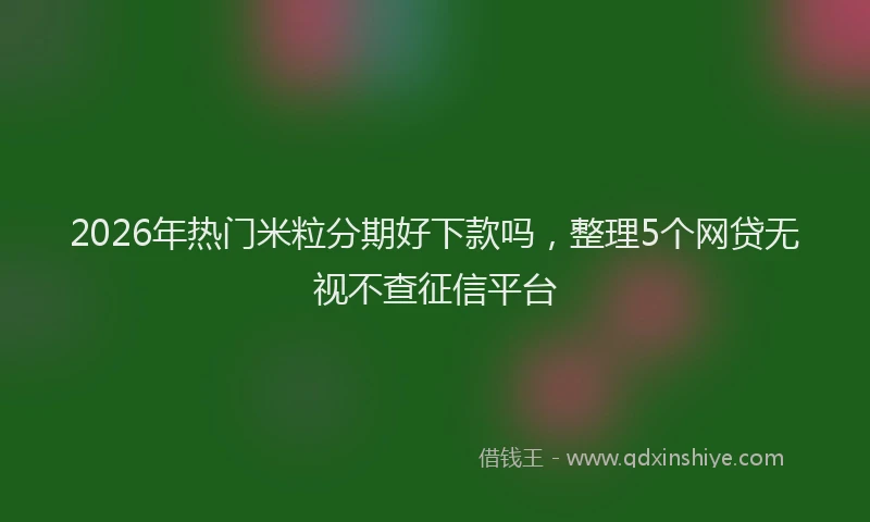 2026年热门米粒分期好下款吗，整理5个网贷无视不查征信平台