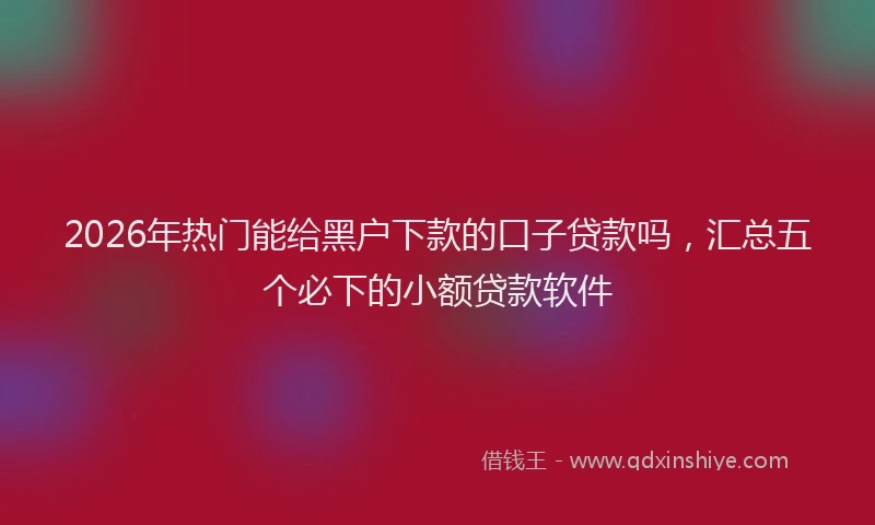 2026年热门能给黑户下款的口子贷款吗，汇总五个必下的小额贷款软件