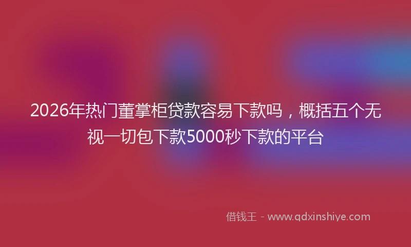 2026年热门董掌柜贷款容易下款吗，概括五个无视一切包下款5000秒下款的平台