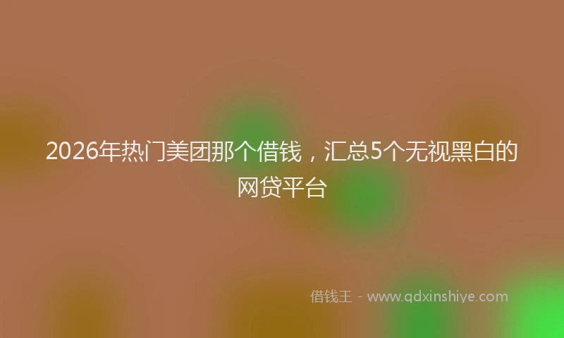 2026年热门美团那个借钱，汇总5个无视黑白的网贷平台
