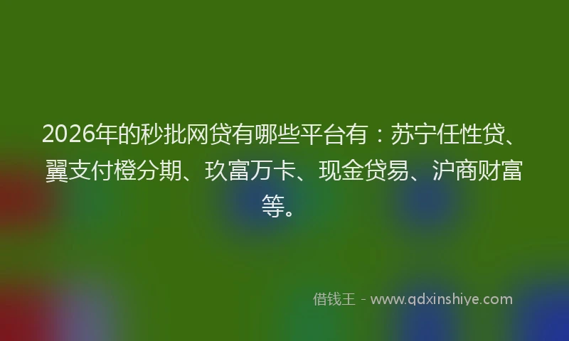2026年的秒批网贷有哪些平台有：苏宁任性贷、翼支付橙分期、玖富万卡、现金贷易、沪商财富等。