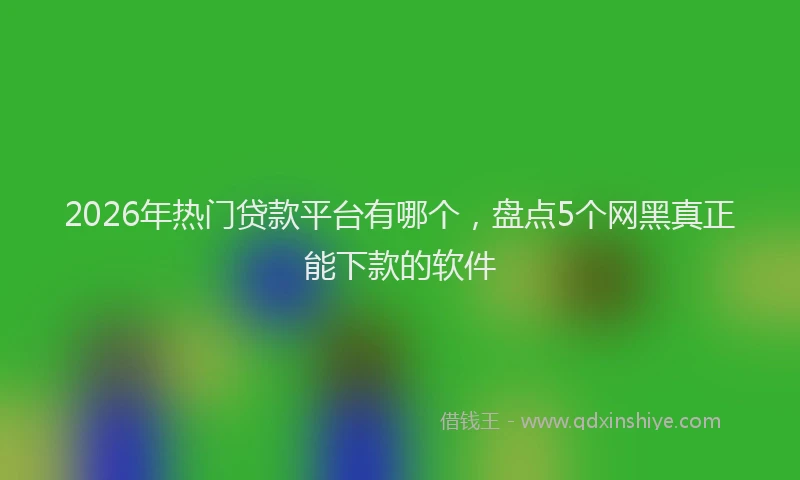 2026年热门贷款平台有哪个，盘点5个网黑真正能下款的软件