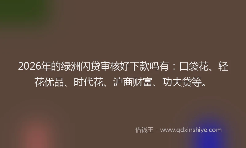 2026年的绿洲闪贷审核好下款吗有：口袋花、轻花优品、时代花、沪商财富、功夫贷等。
