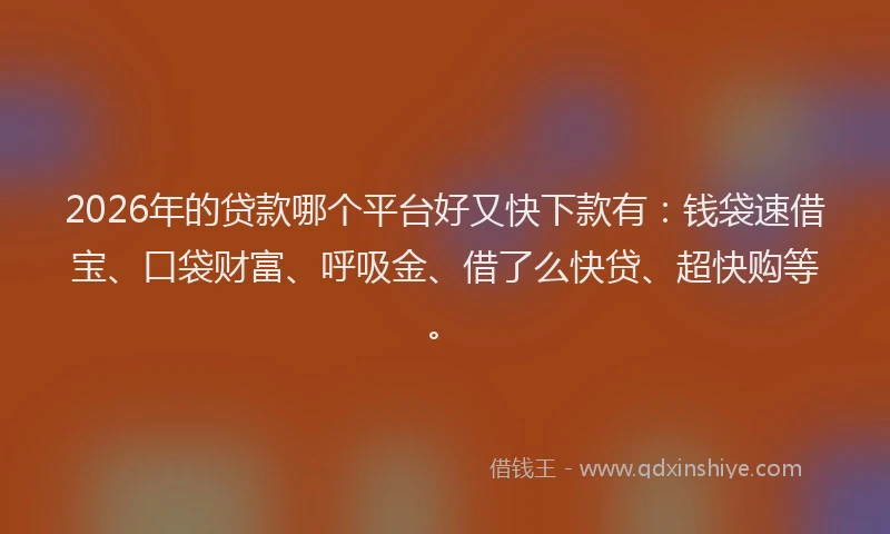 2026年的贷款哪个平台好又快下款有：钱袋速借宝、口袋财富、呼吸金、借了么快贷、超快购等。