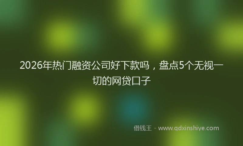 2026年热门融资公司好下款吗，盘点5个无视一切的网贷口子