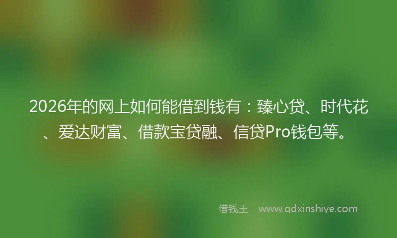 2026年的网上如何能借到钱有：臻心贷、时代花、爱达财富、借款宝贷融、信贷Pro钱包等。