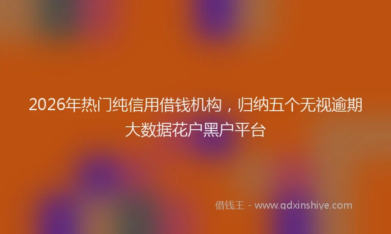 2026年热门纯信用借钱机构，归纳五个无视逾期大数据花户黑户平台