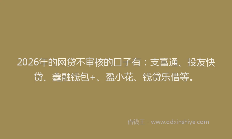 2026年的网贷不审核的口子有：支富通、投友快贷、鑫融钱包+、盈小花、钱贷乐借等。