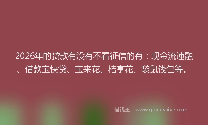 2026年的贷款有没有不看征信的有：现金流速融、借款宝快贷、宝来花、桔享花、袋鼠钱包等。