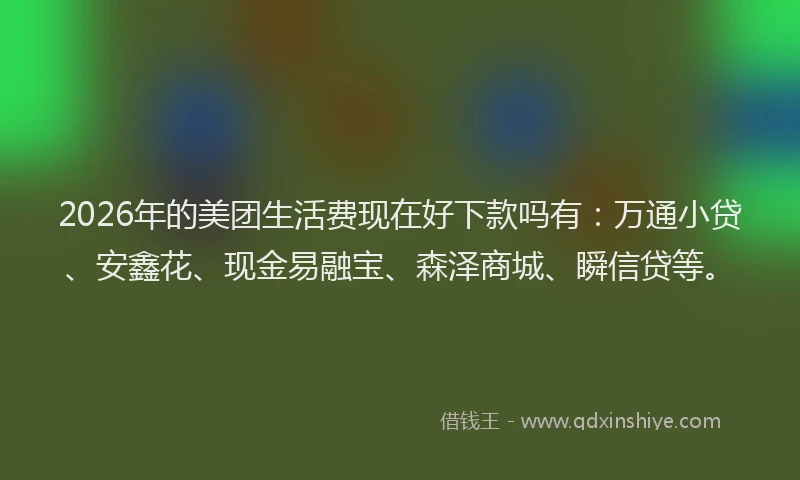 2026年的美团生活费现在好下款吗有：万通小贷、安鑫花、现金易融宝、森泽商城、瞬信贷等。