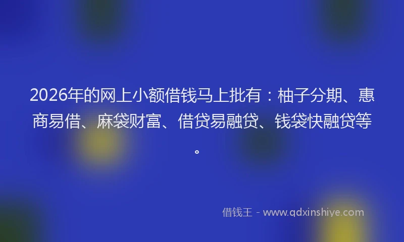 2026年的网上小额借钱马上批有：柚子分期、惠商易借、麻袋财富、借贷易融贷、钱袋快融贷等。