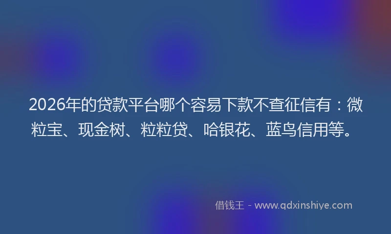 2026年的贷款平台哪个容易下款不查征信有:微粒宝、现金树、粒粒贷、哈银花、蓝鸟信用等。