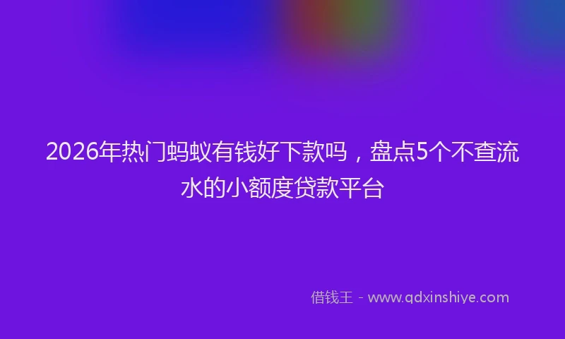 2026年热门蚂蚁有钱好下款吗，盘点5个不查流水的小额度贷款平台