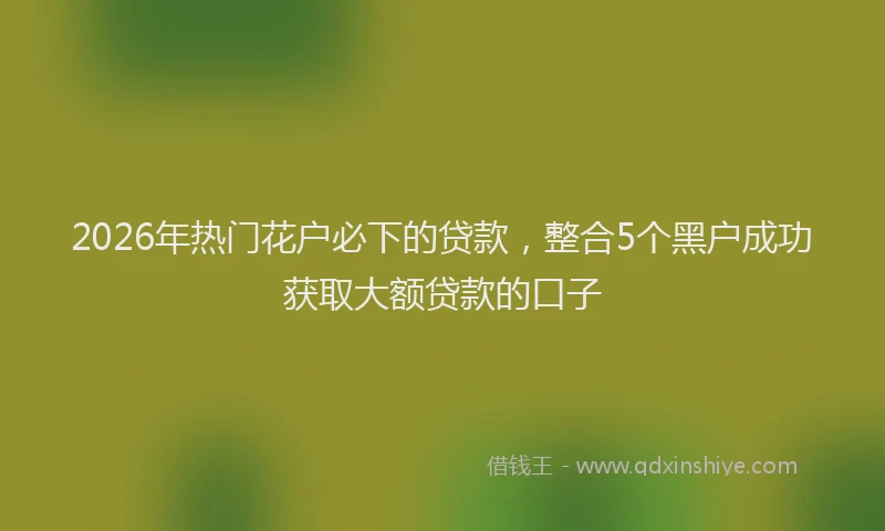 2026年热门花户必下的贷款，整合5个黑户成功获取大额贷款的口子