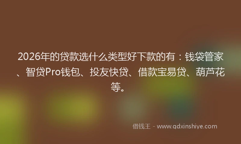 2026年的贷款选什么类型好下款的有：钱袋管家、智贷Pro钱包、投友快贷、借款宝易贷、葫芦花等。