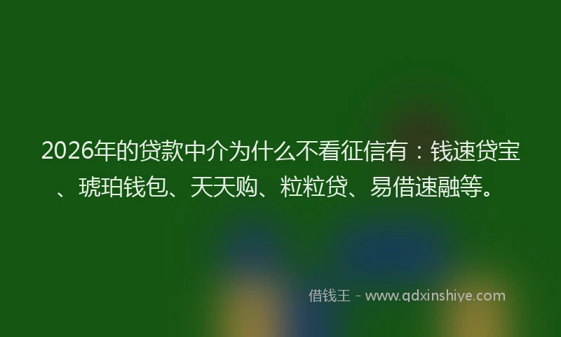 2026年的贷款中介为什么不看征信有：钱速贷宝、琥珀钱包、天天购、粒粒贷、易借速融等。