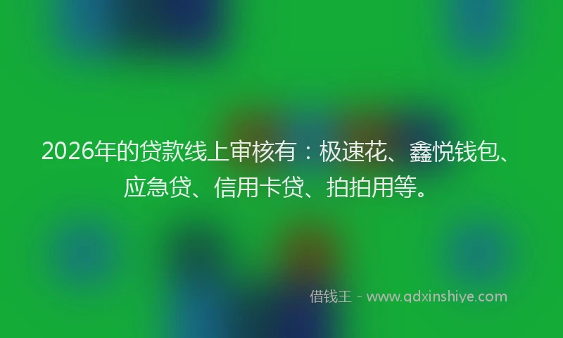 2026年的贷款线上审核有：极速花、鑫悦钱包、应急贷、信用卡贷、拍拍用等。
