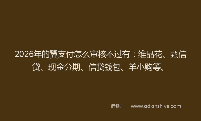 2026年的翼支付怎么审核不过有：维品花、甄信贷、现金分期、信贷钱包、羊小购等。