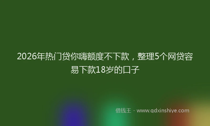 2026年热门贷你嗨额度不下款，整理5个网贷容易下款18岁的口子
