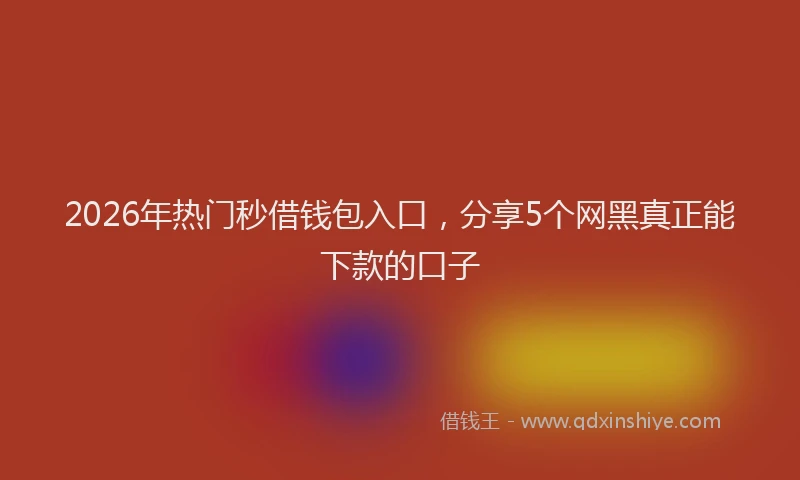 2026年热门秒借钱包入口，分享5个网黑真正能下款的口子
