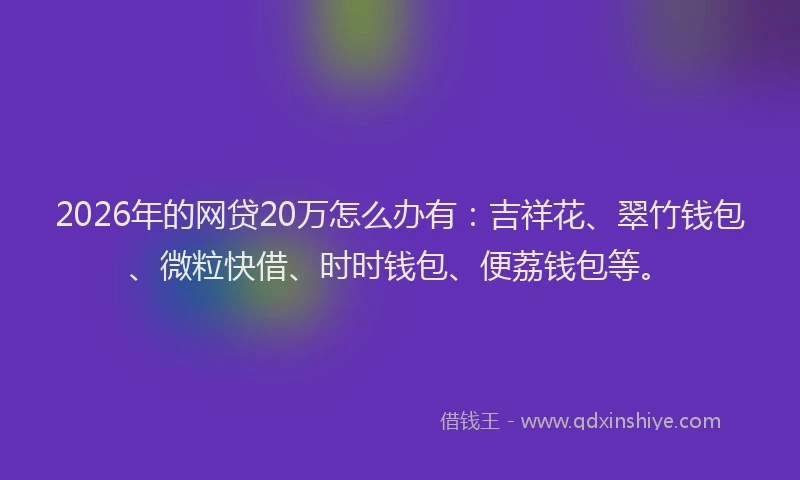 2026年的网贷20万怎么办有:吉祥花、翠竹钱包、微粒快借、时时钱包、便荔钱包等。