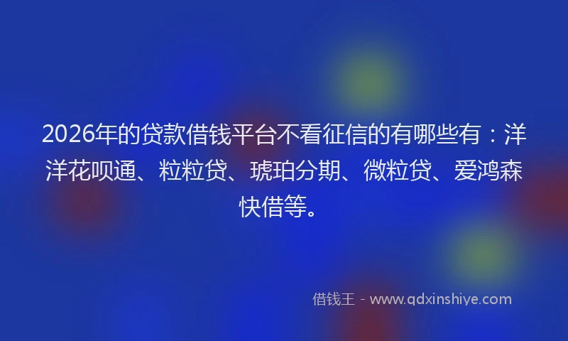 2026年的贷款借钱平台不看征信的有哪些有：洋洋花呗通、粒粒贷、琥珀分期、微粒贷、爱鸿森快借等。
