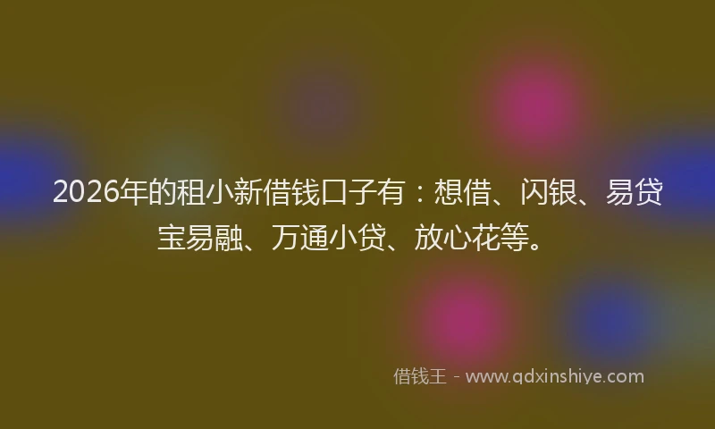 2026年的租小新借钱口子有：想借、闪银、易贷宝易融、万通小贷、放心花等。