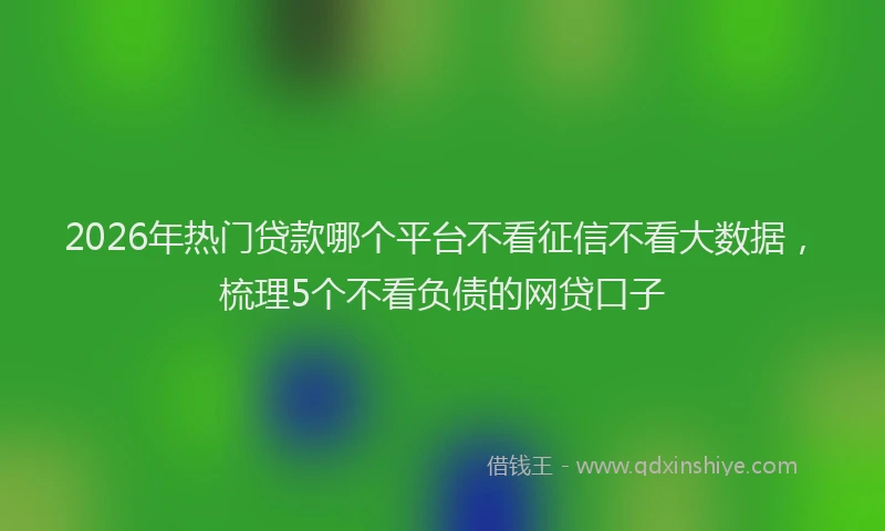 2026年热门贷款哪个平台不看征信不看大数据，梳理5个不看负债的网贷口子