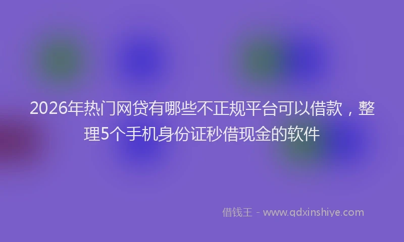 2026年热门网贷有哪些不正规平台可以借款，整理5个手机身份证秒借现金的软件