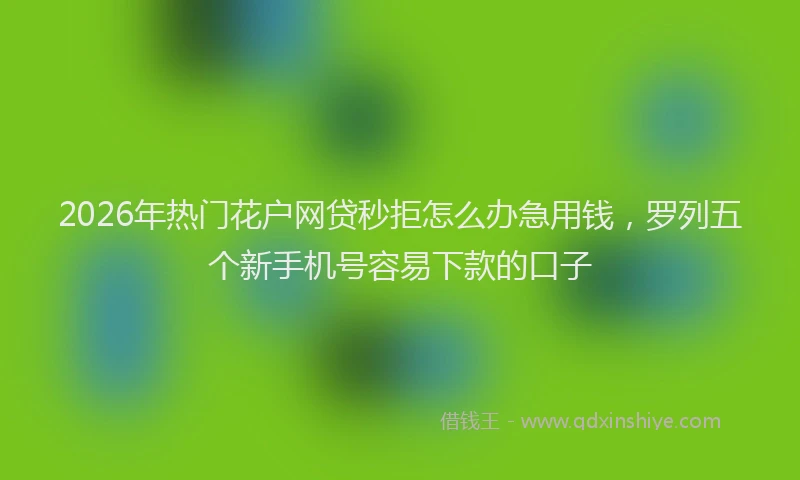 2026年热门花户网贷秒拒怎么办急用钱，罗列五个新手机号容易下款的口子