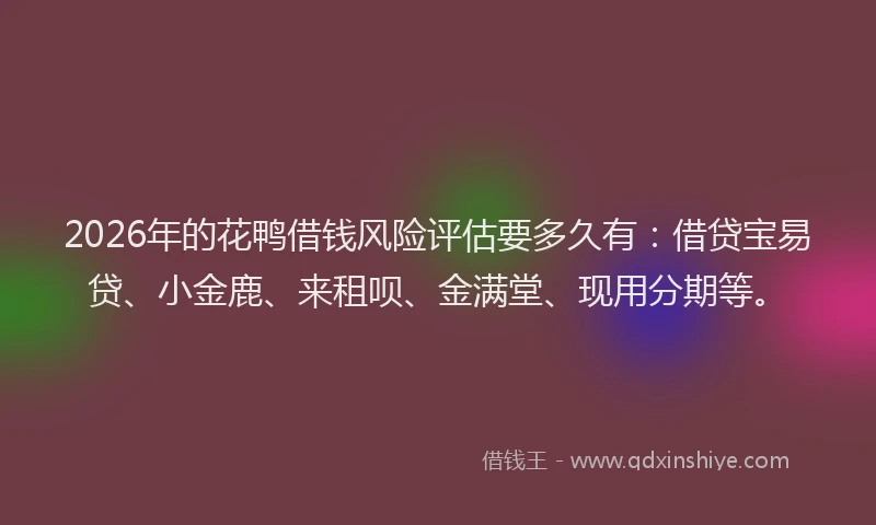 2026年的花鸭借钱风险评估要多久有：借贷宝易贷、小金鹿、来租呗、金满堂、现用分期等。