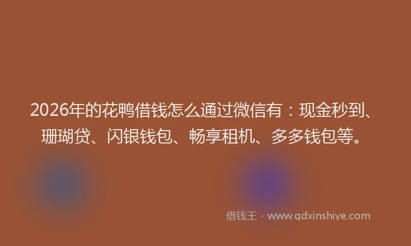 2026年的花鸭借钱怎么通过微信有：现金秒到、珊瑚贷、闪银钱包、畅享租机、多多钱包等。