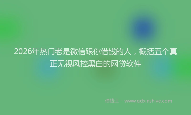 2026年热门老是微信跟你借钱的人，概括五个真正无视风控黑白的网贷软件