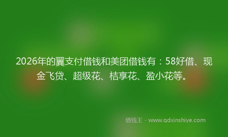 2026年的翼支付借钱和美团借钱有：58好借、现金飞贷、超级花、桔享花、盈小花等。