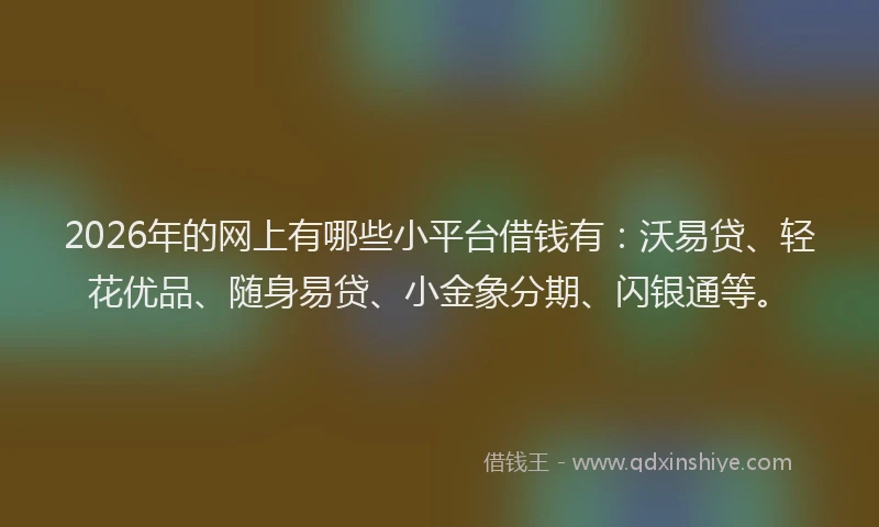 2026年的网上有哪些小平台借钱有：沃易贷、轻花优品、随身易贷、小金象分期、闪银通等。